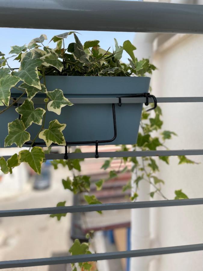 Holiday House Da Vinci Διαμέρισμα Terrasini Εξωτερικό φωτογραφία